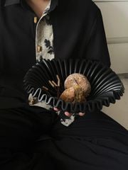 Dĩa Trái Cây Gợn Sóng Dập Ply Nghệ Thuật