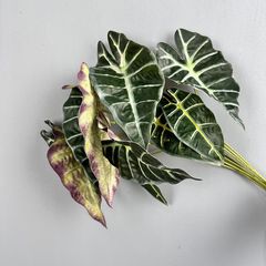 Cành Lá Polly Xanh Đen Cắm Hoa Làm Tiểu Cảnh Decor