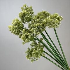 Cành Hoa Hẹ Nhân Tạo Decor