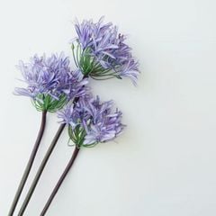 Hoa Lụa Giả Decor Mô Hình Hoa Súng Châu Phi Sang Trọng