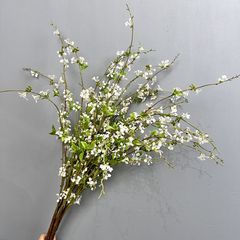 Hoa Tuyết Liễu Trắng Trang Trí Không Gian Nhẹ Nhàng