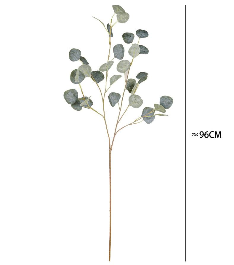 Lá Bạch Đàn Cánh Tròn Decor