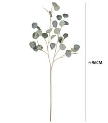 Lá Bạch Đàn Cánh Tròn Decor