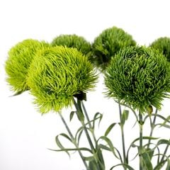 Hoa Giả Decor Cắm Bình Hoa Cẩm Chướng Xanh