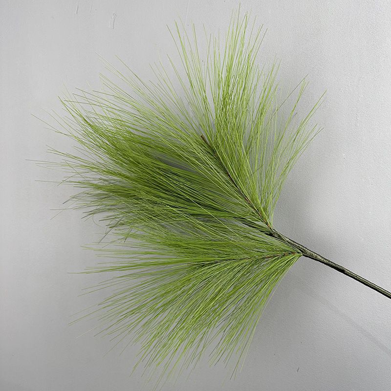 Cành Thông Giả Masson 3 Nhánh