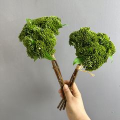 Hoa Giả Gel Mềm Hoa Súp Lơ Decor