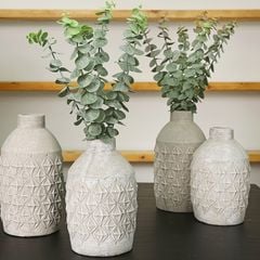 Nhành Cây Bạch Đàn Làm Đạo Cụ Trang Trí