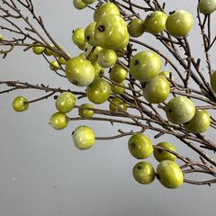 Cành Việt Quất Xanh Trang Trí Tiểu Cảnh Phong Cách Hoa Khô