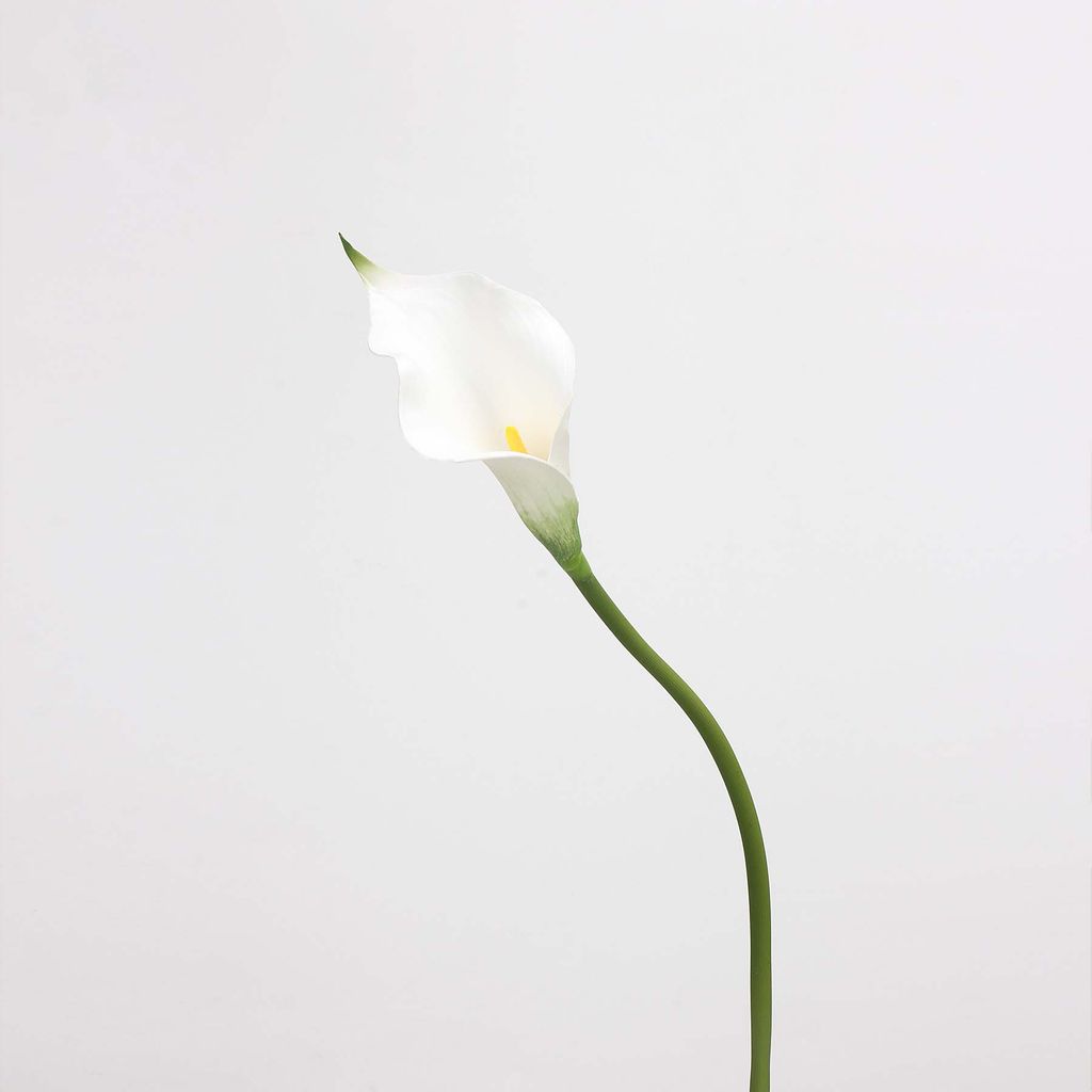 Hoa Giả Decor Hoa Lily EVA Calla Sang Trọng
