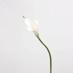 Hoa Giả Decor Hoa Lily EVA Calla Sang Trọng