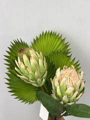 Combo 3 Lá Cọ Sậy Nhựa Decor