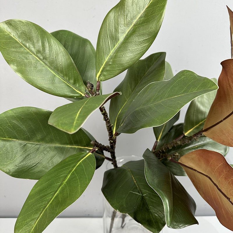 Cành Lá Mộc Lan Decor Không Gian