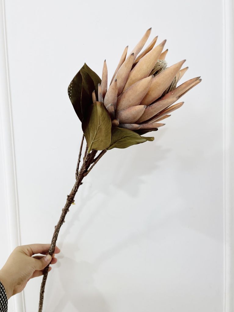 Hoa Hoàng Đế Retro Decor