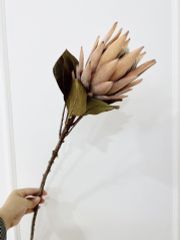 Hoa Hoàng Đế Retro Decor