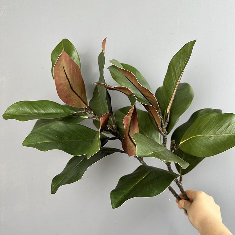 Cành Lá Mộc Lan Decor Không Gian