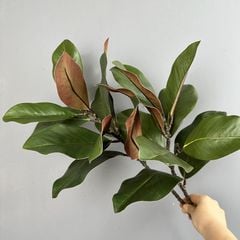 Cành Lá Mộc Lan Decor Không Gian