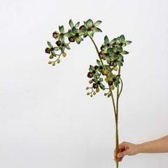 Hoa Giả Trang Trí Hoa Địa Lan Cắm Hoa Để Bàn