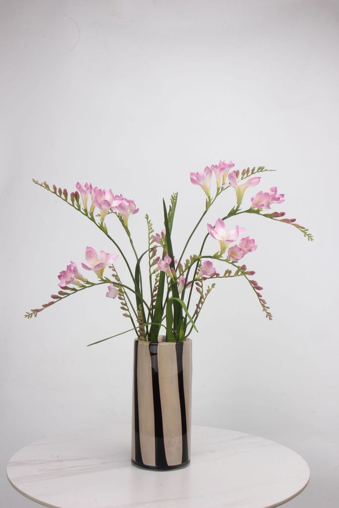 Hoa Giả Decor Hoa Lan Nam Phi Sang Trọng