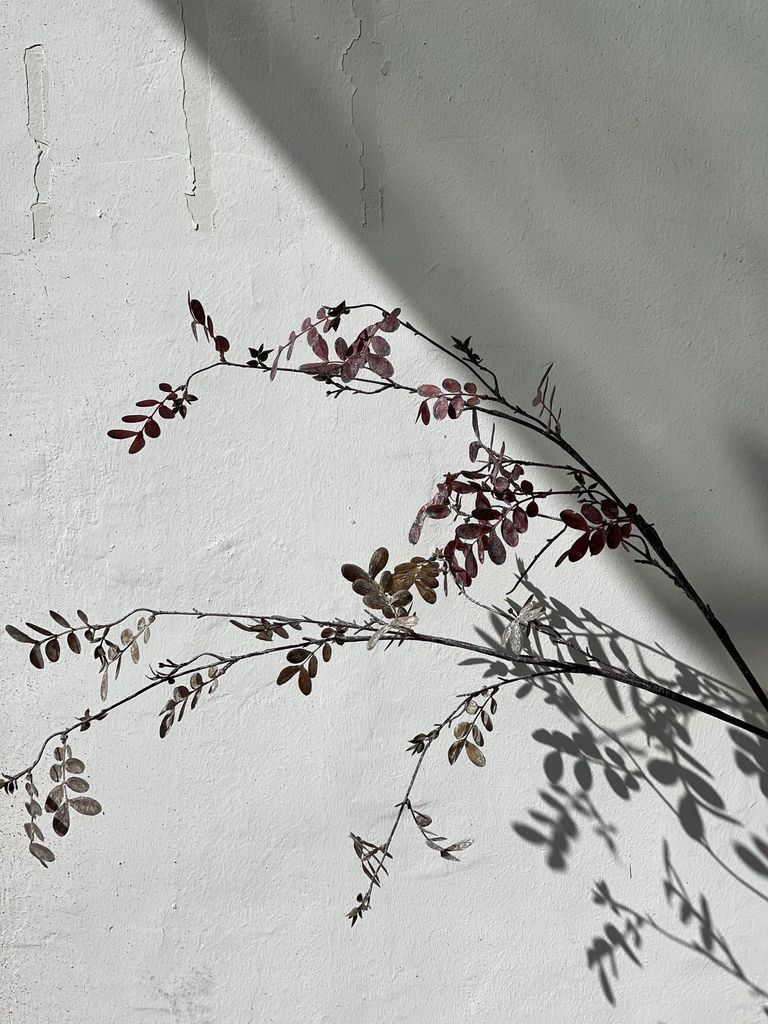 Hoa Giả Trang Trí Mô Hình Cành Lá Nâu Đỏ Khô Châu Âu