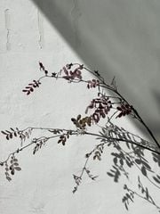 Hoa Giả Trang Trí Mô Hình Cành Lá Nâu Đỏ Khô Châu Âu