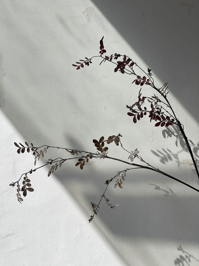 Hoa Giả Trang Trí Mô Hình Cành Lá Nâu Đỏ Khô Châu Âu