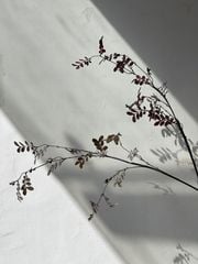 Hoa Giả Trang Trí Mô Hình Cành Lá Nâu Đỏ Khô Châu Âu