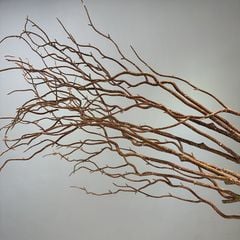 Cành Rồng Liễu Giả Dáng Khô