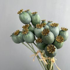 Bó Nụ Hoa Mọng Kiểu Mỹ