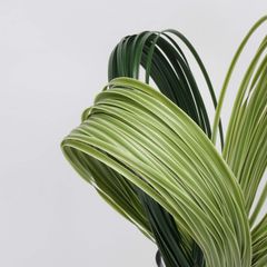 Cành Lá Giả Trang Trí Kiểu Dây Cỏ Cao Su Mềm Mại