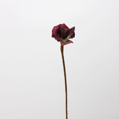 Cành Hoa Lan Lép Paphiopedilum EVA Mềm Mại Cao Cấp