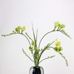 Hoa Giả Decor Hoa Lan Nam Phi Sang Trọng