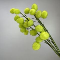 Cành Đơn Hình Quả Bóng Bông Tang Giả Cắm Bình Decor