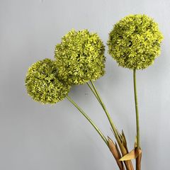 Hoa Bóng Hình Tròn Độc Đáo Decor Không Gian