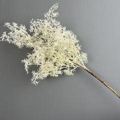 Cành Cỏ Khói Cotinus Decor Không Gian