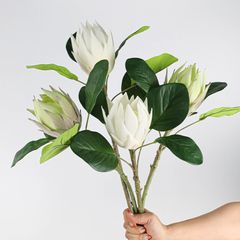 Cành Đơn Hoa Lan Đế Vương