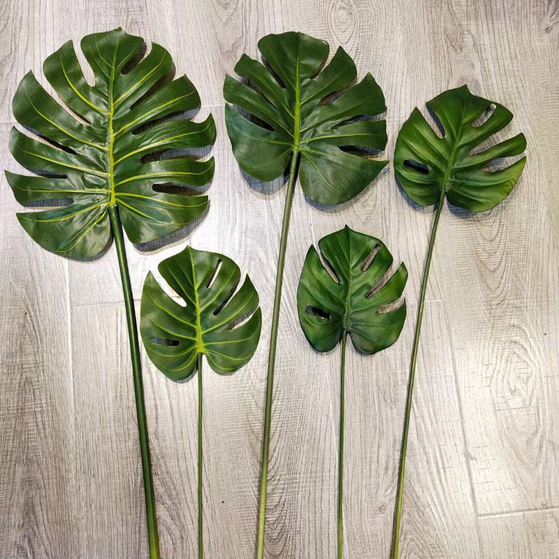 Lá Rùa Xanh Decor