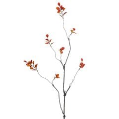 Cành Lá Phong Đỏ Trang Trí Phong Cách Bắc Âu