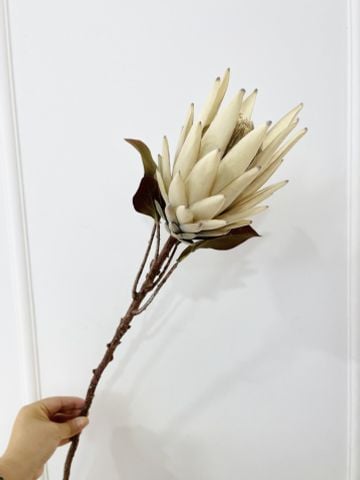 Hoa Hoàng Đế Retro Decor