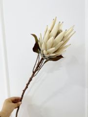 Hoa Hoàng Đế Retro Decor