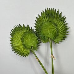 Combo 3 Lá Cọ Sậy Nhựa Decor