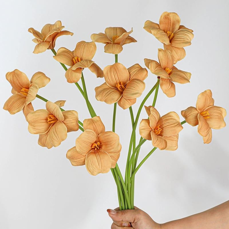 Hoa Tulip Không Lá Nở Rộ Tông Dark Coffee