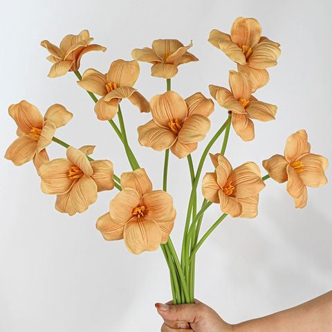 Hoa Tulip Không Lá Nở Rộ Tông Dark Coffee