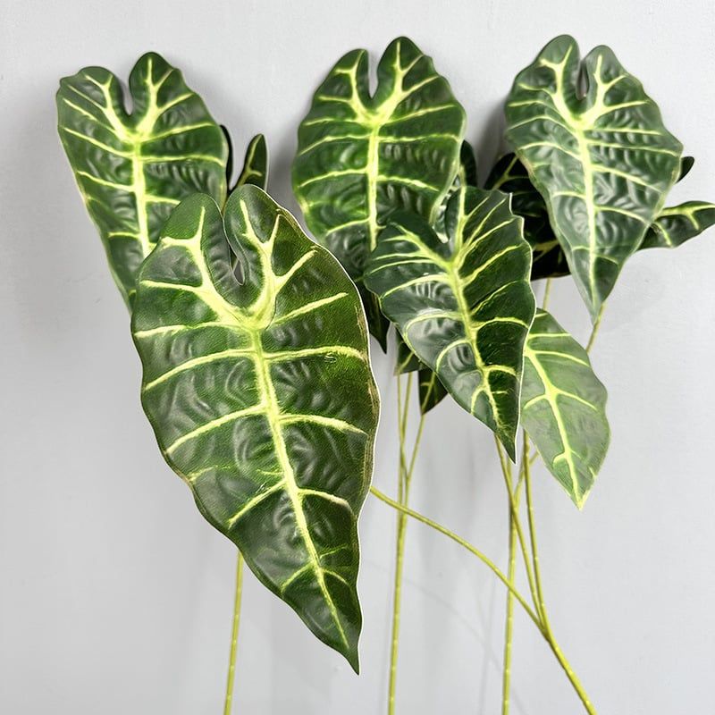 Cành Lá Polly Xanh Đen Cắm Hoa Làm Tiểu Cảnh Decor