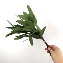 Nhành Cây Lá Xanh Dài Decor