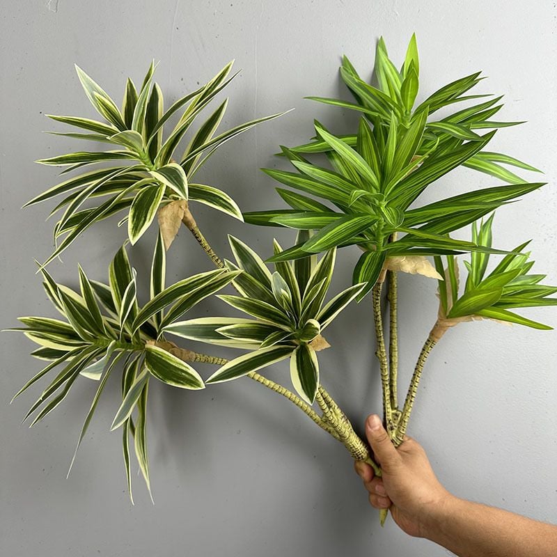 Cành Măng Tây Tre Keo Mềm Decor Hiện Đại