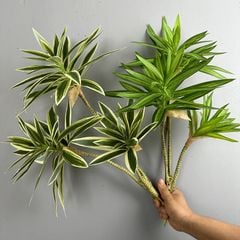 Cành Măng Tây Tre Keo Mềm Decor Hiện Đại