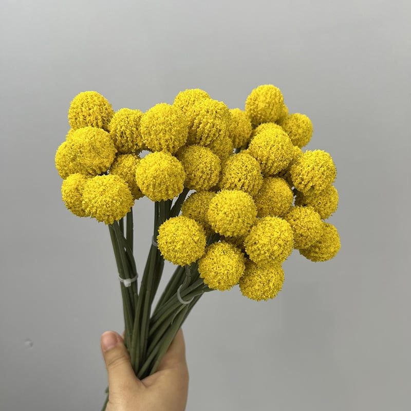 Bó 9 Hoa Quả Cầu Tròn Bồ Công Anh Nhỏ