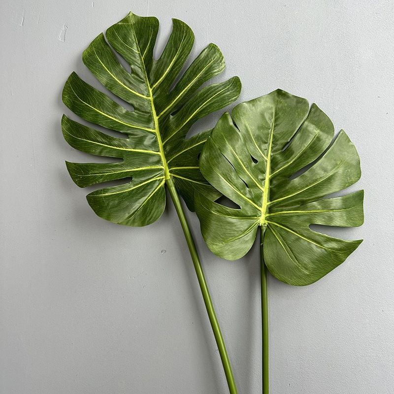 Lá Rùa Xanh Decor