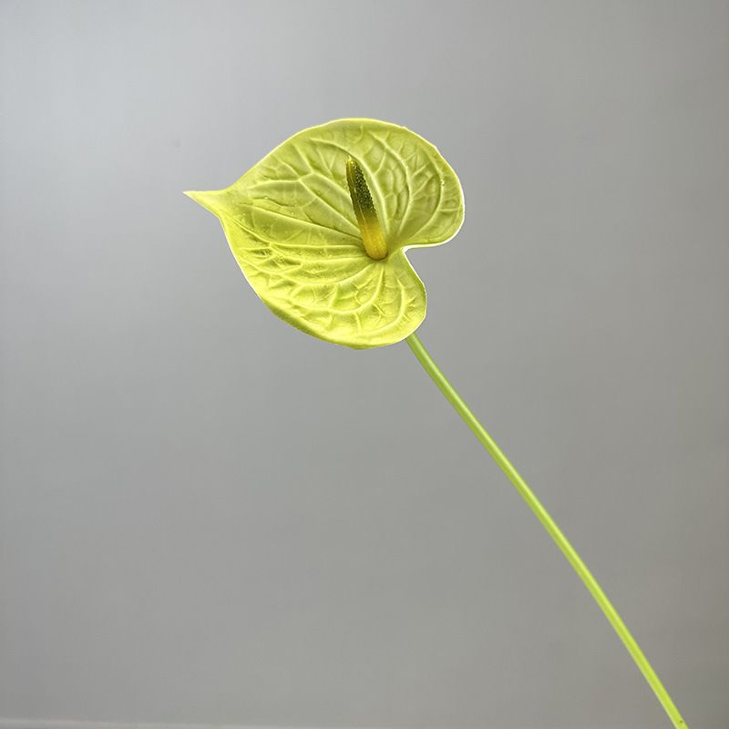 Hoa Môn Giả Anthurium Cành Đơn In 3D Decor Sang Trọng