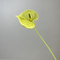 Hoa Môn Giả Anthurium Cành Đơn In 3D Decor Sang Trọng